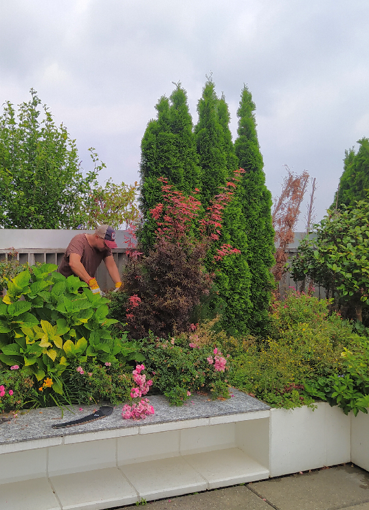 Terrassen- und Gartengestaltung