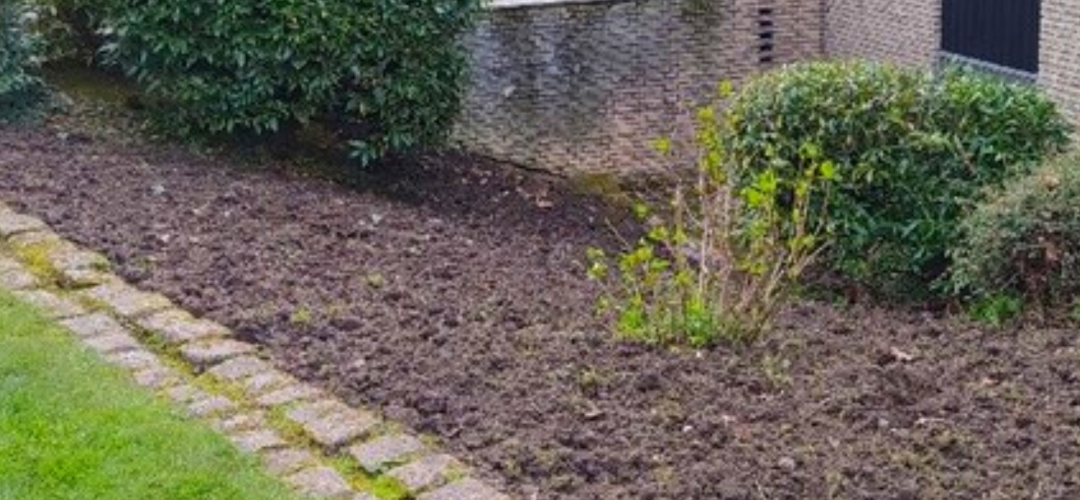 Regelmäßige Gartenpflege