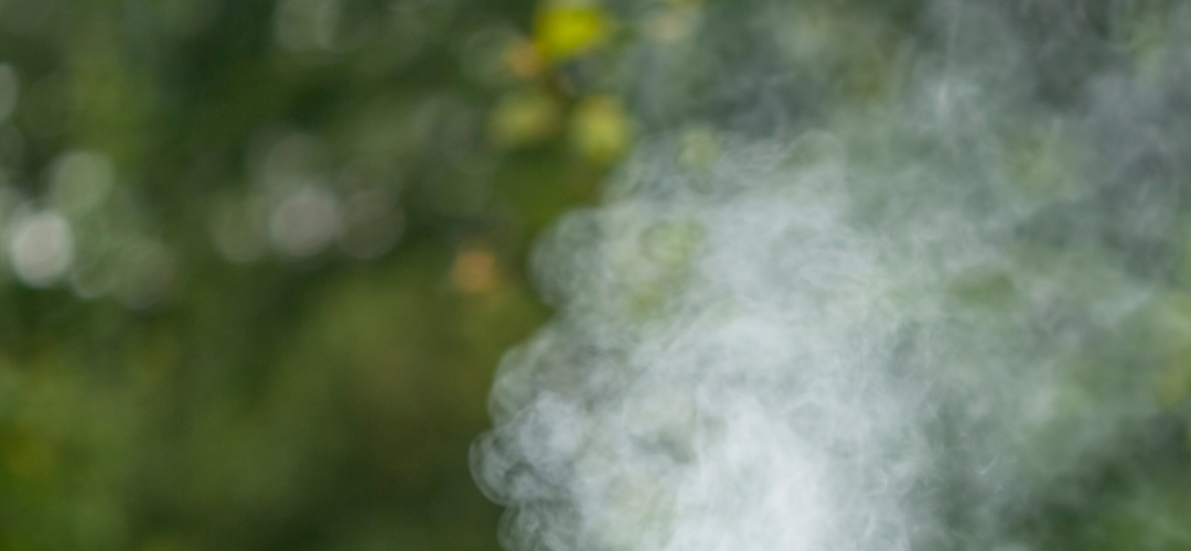 Schädlingsbekämpfung