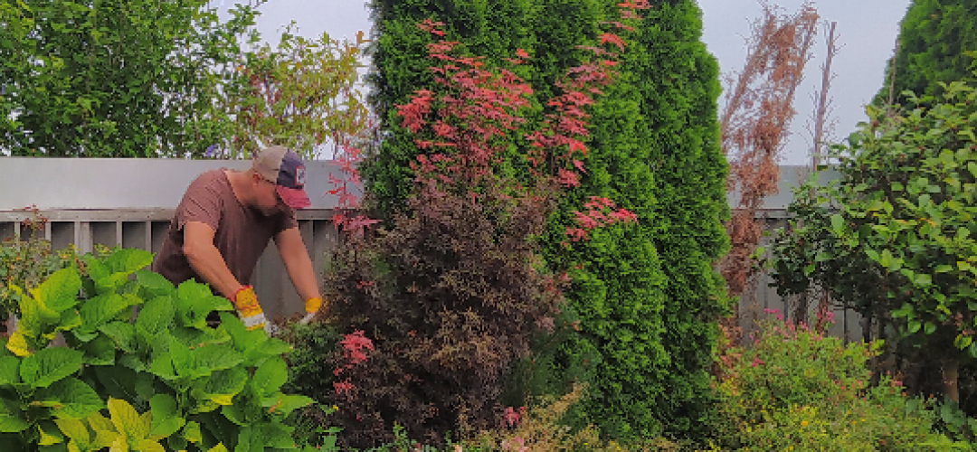 Terrassen- und Gartengestaltung