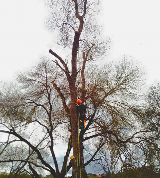 Vertical Images Home Page (1)